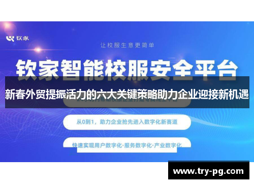 新春外贸提振活力的六大关键策略助力企业迎接新机遇 新春外贸提振活力的六大关键策略助力企业迎接新机遇