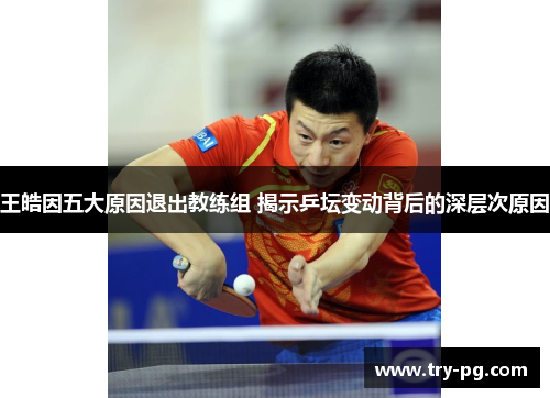 王皓因五大原因退出教练组 揭示乒坛变动背后的深层次原因 王皓因五大原因退出教练组 揭示乒坛变动背后的深层次原因