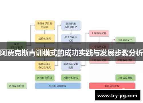 阿贾克斯青训模式的成功实践与发展步骤分析