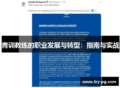 青训教练的职业发展与转型：指南与实战