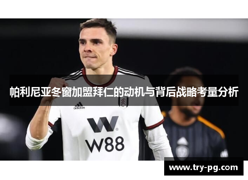 帕利尼亚冬窗加盟拜仁的动机与背后战略考量分析