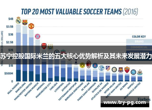 苏宁控股国际米兰的五大核心优势解析及其未来发展潜力
