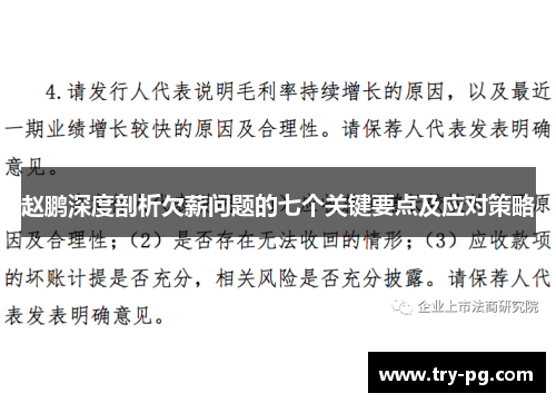 赵鹏深度剖析欠薪问题的七个关键要点及应对策略