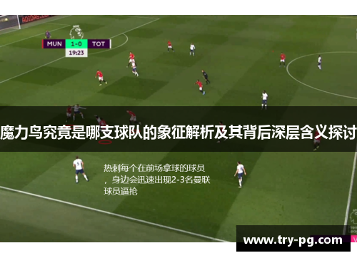 魔力鸟究竟是哪支球队的象征解析及其背后深层含义探讨 魔力鸟究竟是哪支球队的象征解析及其背后深层含义探讨