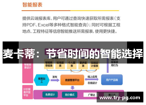 麦卡蒂:节省时间的智能选择 麦卡蒂:节省时间的智能选择